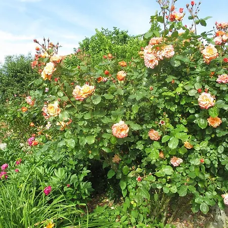 Bed & Breakfast Les Sources 3*
